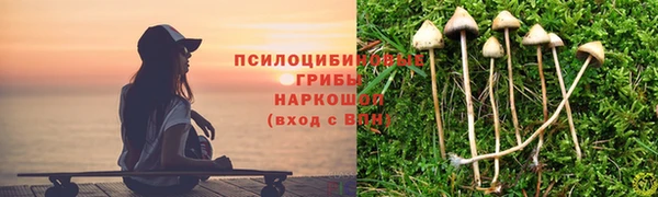 амф Богородск