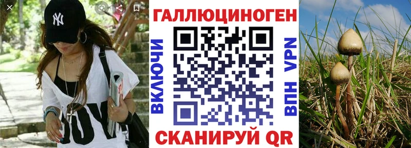 Галлюциногенные грибы Magic Shrooms  где найти наркотики  кракен вход  Кириши 